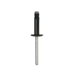 Boîte de 250 Rivets expansés tête large noir ø 4,8 x 19,8 mm pour DACIA, OPEL, RENAULT, Neuf