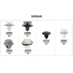 Coffret de 115 assortiments d'agrafes de panneaux de portes et moulures pour NISSAN, Neuf