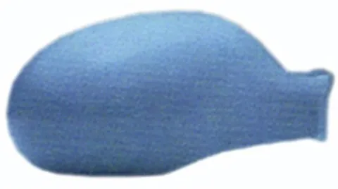Coque rétroviseur droit pour CITROËN C5 I phase 1, 2001-2004, Neuve à peindre