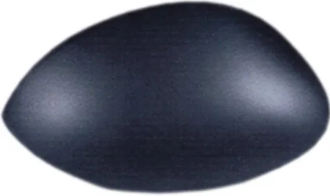 Coque rétroviseur gauche pour PEUGEOT 206 Plus (206+) 2009-2013, noire, Neuve